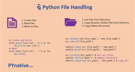 how to print current directory in python and why it matters for file operations