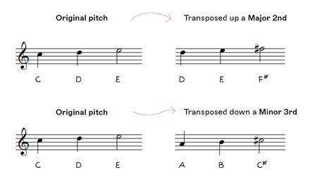 transpose meaning music: How does the essence of a piece change when it's adapted for different mediums?